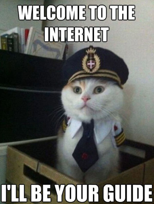 Cat meme - welcome to the internet, I'll be your guide