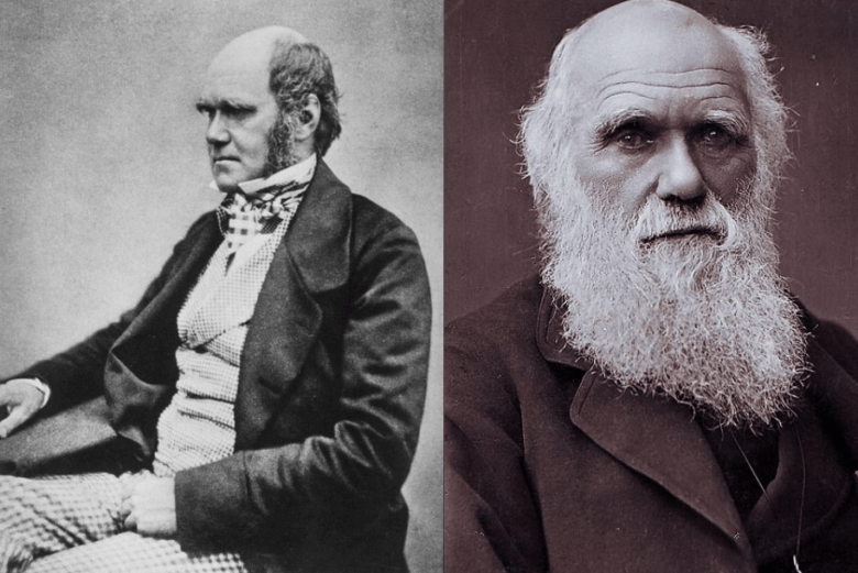Charles Darwin - a boring creative genius